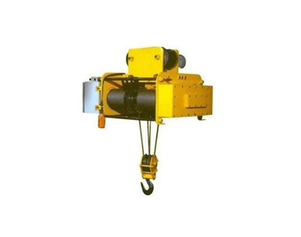 Electric Wire Rope Hoist  Manufacturer in Bareilly
